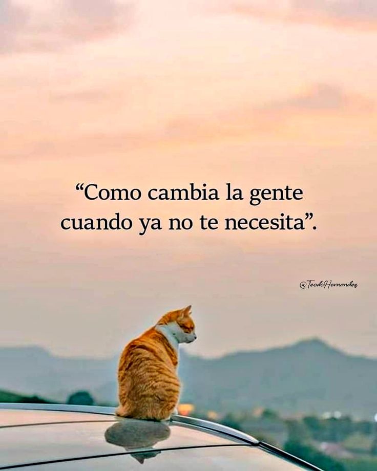 Cierto... 🤔