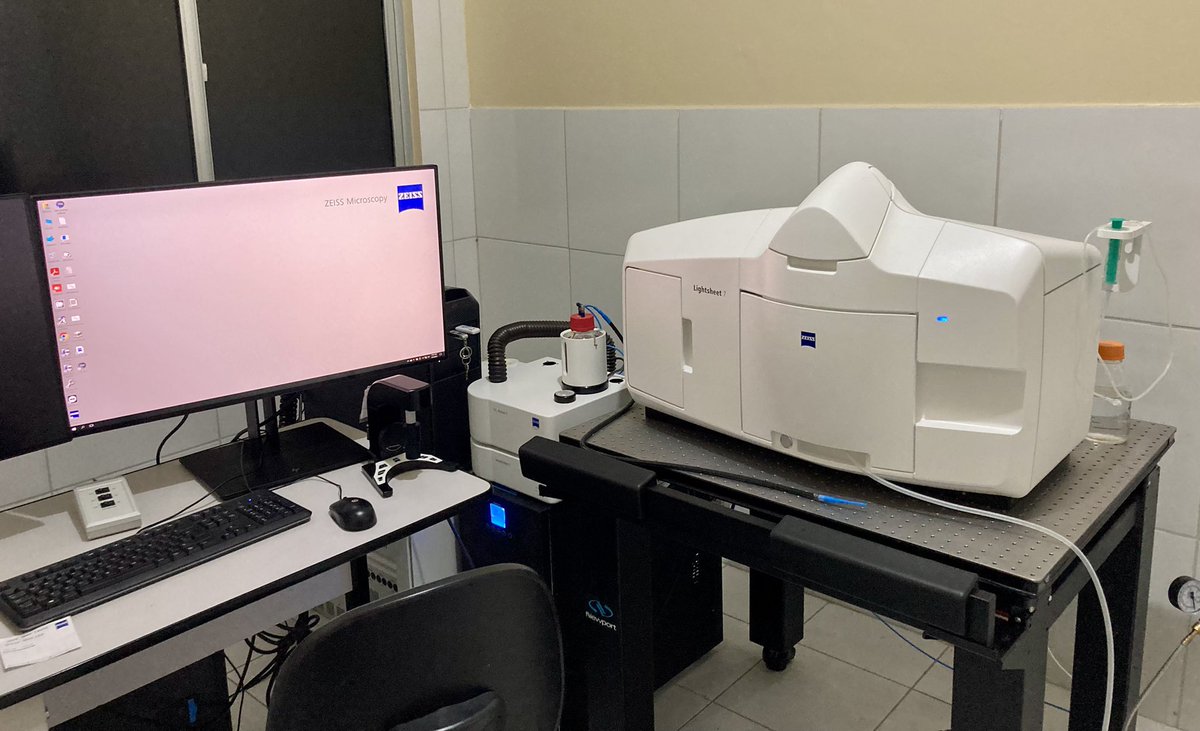 SamuelTadeuRoc1's tweet image. Honored to teach Light Sheet Microscopy at UECE using the only @zeiss_micro LightSheet 7 in Brazil! 🔬🇧🇷
Thanks to BioIMG, @cziscience , CAPI-UFMG &amp;amp; Prof. Luciana Melo for the support — and to @LiSIUM_Chile &amp;amp; @anvargasr for my training.
Let’s expand microscopy in South America!