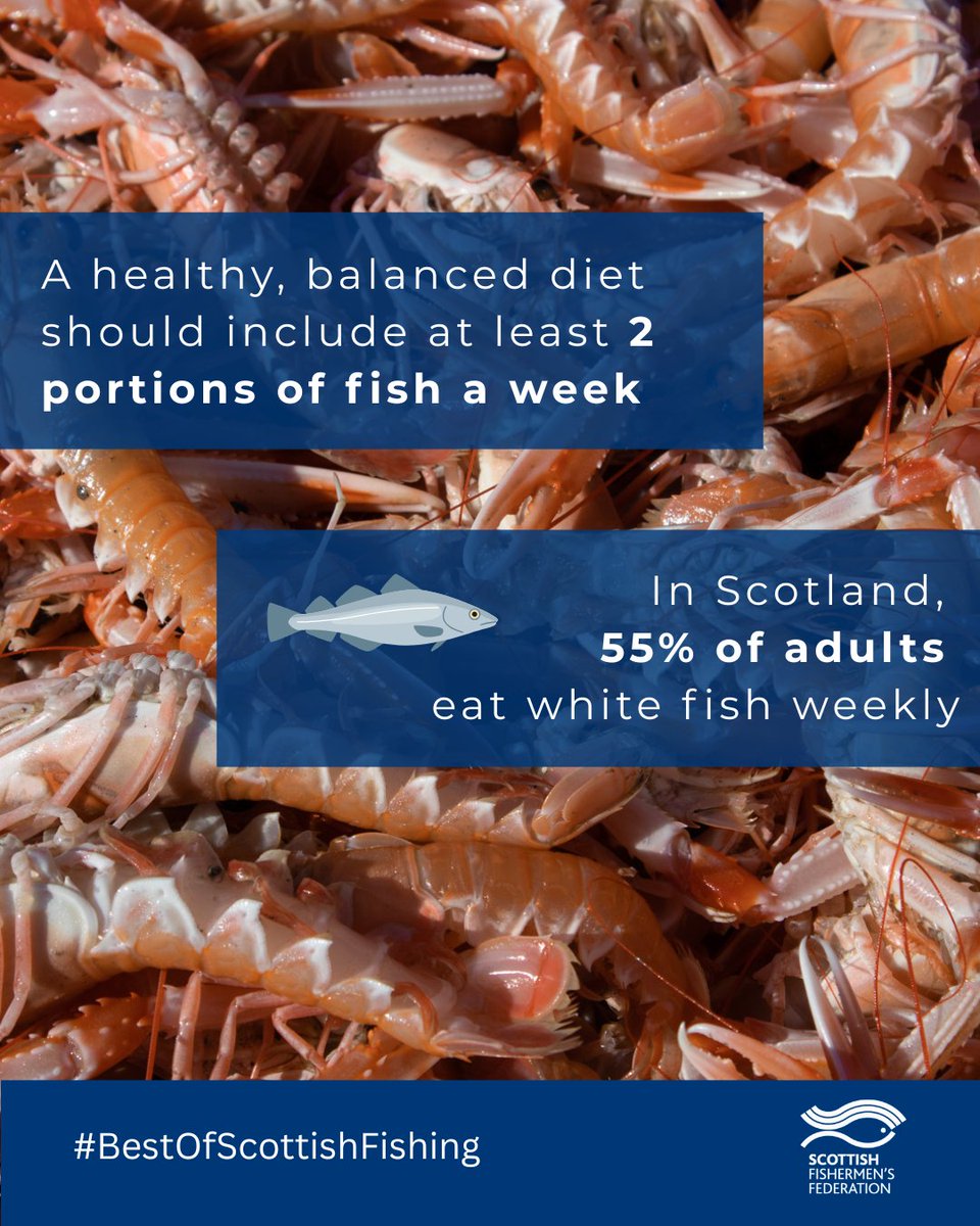 Fish is a staple of Scottish diets and a vital pillar of national food security.🐟

According to the NHS, a healthy, balanced diet should include at least two portions of fish a week.