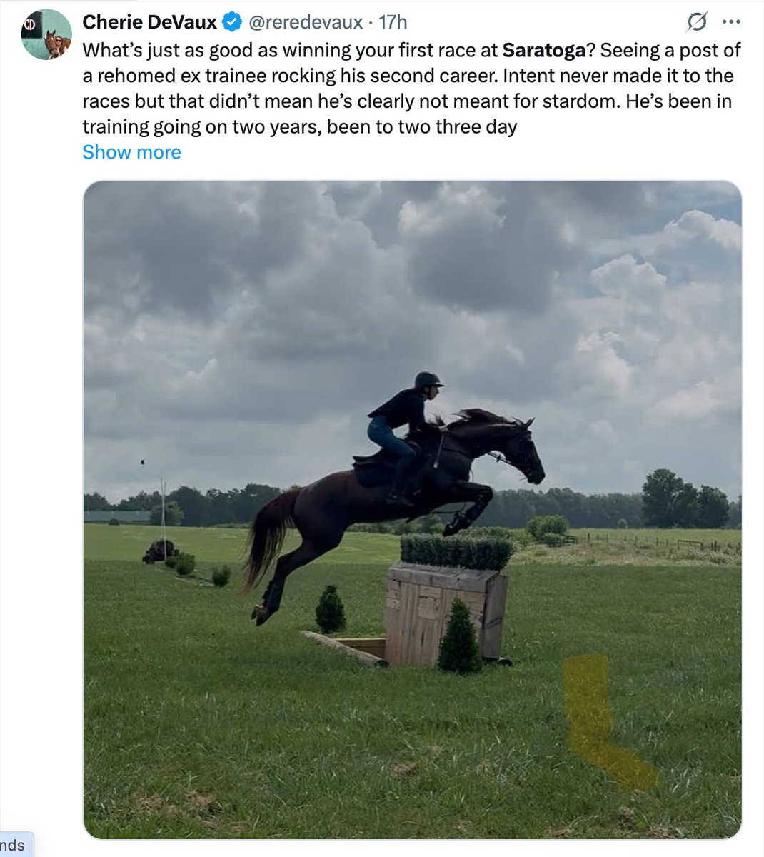 TogaTracksider's tweet image. 🏇 Saratoga Day 2 Highlights:
– 🏆 G3 Coronation Cup leads the card
– 🗣 Espinoza eyes Spa comeback
– 🩺 Elliott cleared after Opening Day spill
– 🍽 @TheNYRA New chef, bold new menu
– 📸 Photo of the Day: @rereDeVaux
– 📬 Fred’s picks
– Read: tinyurl.com/2px76rjx