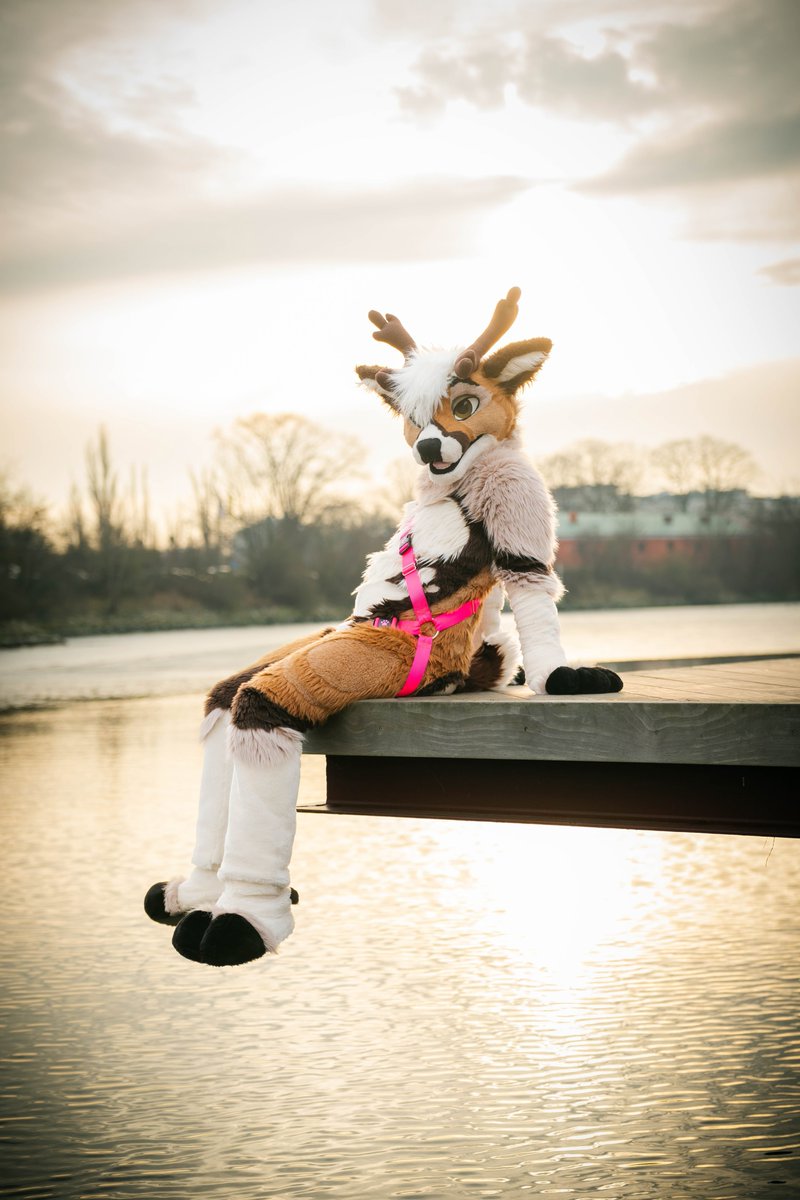 You bring the beer I’ll snuggle you all night 😘
#FursuitFriday 
📸 <a href="/kealianwolf/">kealian 🔜 F M / BFD 17 / MFF</a>