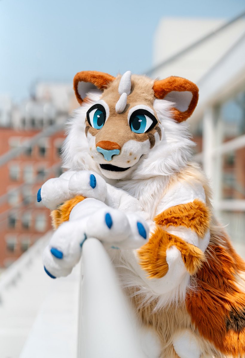 ✨Kora 🔜 FWA, AC, MPLX (@wildkore_) on Twitter photo Hey! Who you callin’ cute? 😊
#anthrocon
📸 <a href="/_CrowCreations_/">Crow Creations Fur-tography! 🔜 MP+AFC+FC+TFF!</a> Hey! Who you callin’ cute? 😊
#anthrocon
📸 <a href="/_CrowCreations_/">Crow Creations Fur-tography! 🔜 MP+AFC+FC+TFF!</a>