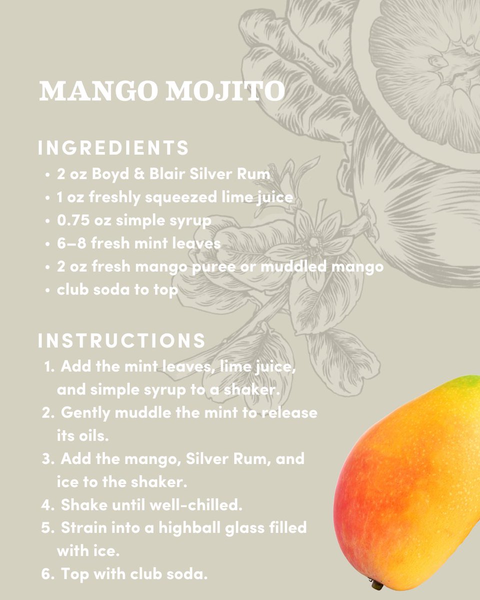 boydandblair's tweet image. Celebrate National Mojito Day with a twist - or two.⁠
⁠
From the classic recipe to mango sweetness and habanero heat, these mojitos bring fresh, bright flavors to your bar cart.⁠
⁠
Find your favorite and shop now.

shop.boydandblair.com/products/boyd-…
⁠
#mojito #rumlover #craftcocktails