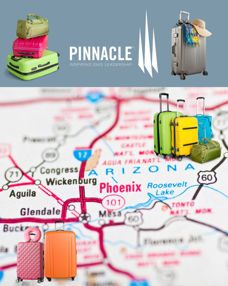 Our Pinnacle bags are packed! 

Be sure to use #PinnacleEMS when posting your Pinnacle pics next week. And please tag us as well!  

See you in Phoenix ☀️ 

#Pinnacle #Pinnacle2025 #fitchassoc