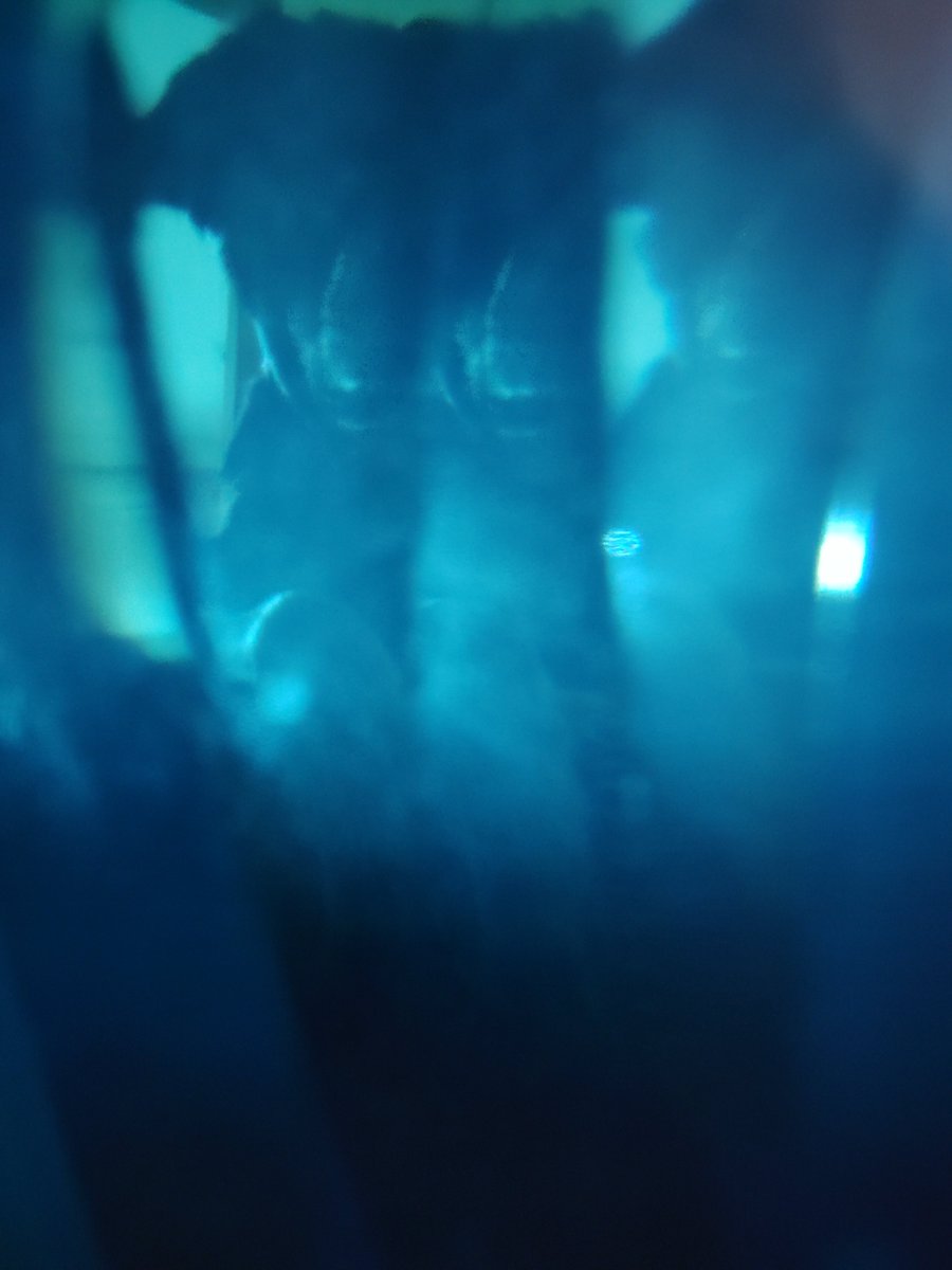 PaulWomock's tweet image. i call it the &quot;mouthwash filter&quot;