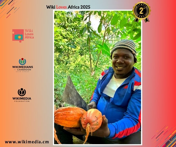 Wikimedians of Cameroon User Group (@wikimediacm) on Twitter photo 2e prix du concours #WikiLovedAfrica 2025 au Cameroun, le jury a retenu "Le départ du chocolat", une image téléversée sur Commons par Simbanematick <a href="/simbanematick/">André Fidèle MEKINDA</a> 🎉🎉🎉
Félicitations 2e prix du concours #WikiLovedAfrica 2025 au Cameroun, le jury a retenu "Le départ du chocolat", une image téléversée sur Commons par Simbanematick <a href="/simbanematick/">André Fidèle MEKINDA</a> 🎉🎉🎉
Félicitations