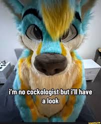 TheGothFurry's tweet photo. @KyrosBorks Proof or didn't hapen https://t.co/DjXqmkzDB8