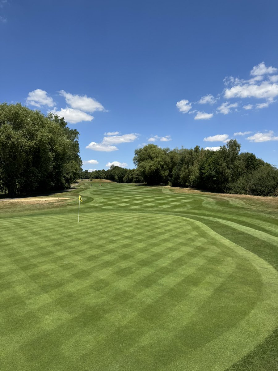 jamie c blagden tweet media