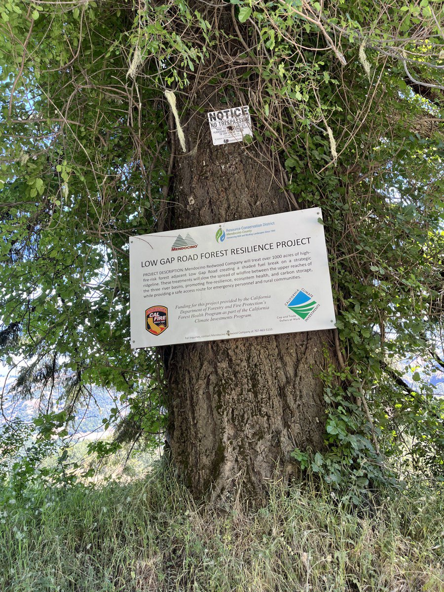 MRC hosted local leaders &amp; fire agencies for a tour of our 1,000-acre Low Gap Forest Resilience Project—creating a shaded fuel break to help protect Mendocino County from wildfire. Thanks to all who joined us!

Learn more about wildfire safety at mendoready.org