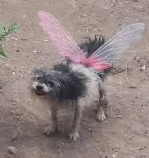 mateiformiga's tweet image. quero buscar inspirações novas, quais canais gringos de game vcs curtem? To aproveitando pra praticar meu inglês tb
