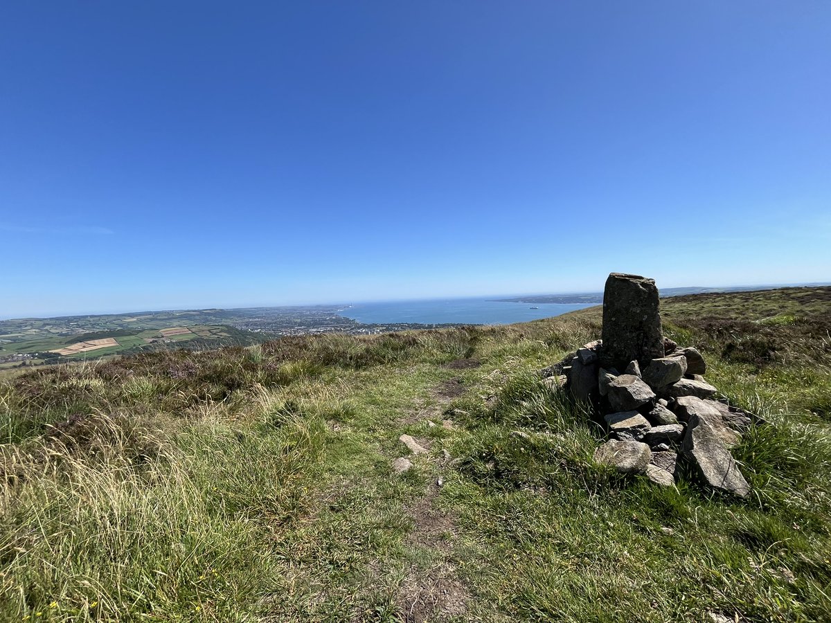 Adrian Boyd tweet media