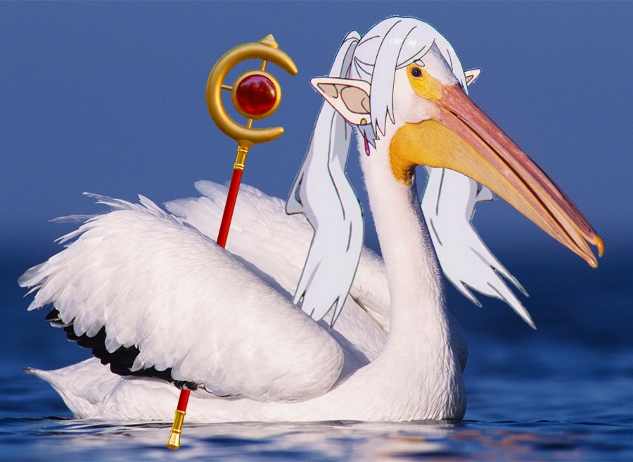Today I learned that Manitoba is a "pelican paradise" because 1/3 of the world's American White Pelicans summer here. 
Anyway here's Pelican Frieren.