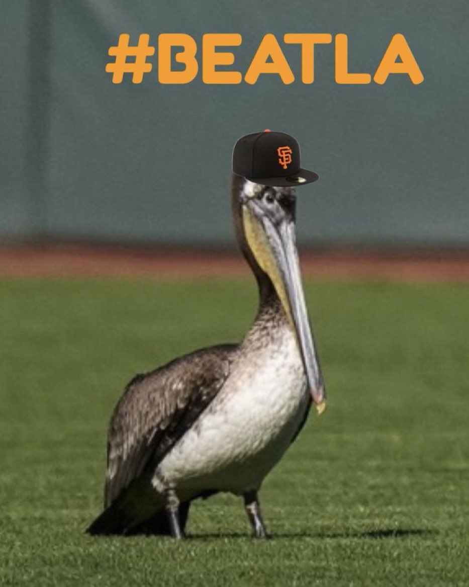 OraclePelican's tweet image. WE. ARE. BACK.
#BEATLA