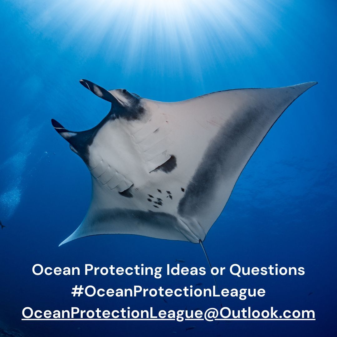 OceanProtectionLeague tweet media