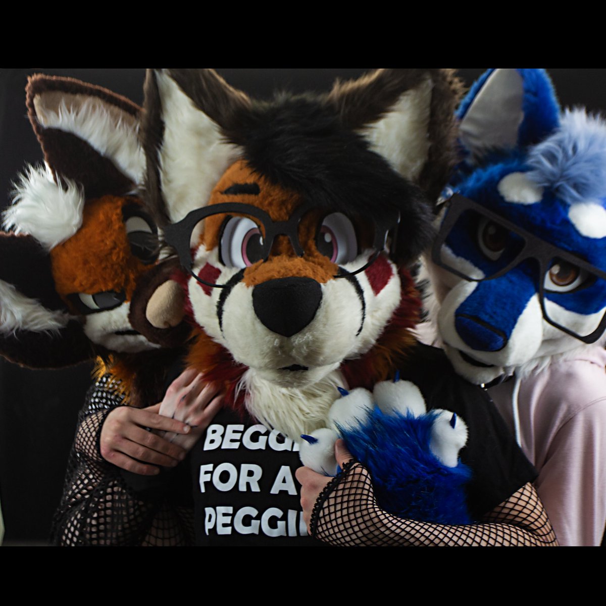 Sarky (@sarkythecat) on Twitter photo When your plans for #FursuitFriday change last minute ๐ธ
Feat: <a href="/ItsAdventureFox/">Korinn</a> <a href="/chaoticwuff/">Vis ๐ ???</a> <a href="/LapisWolfe/">Lapis Wolfe</a> When your plans for #FursuitFriday change last minute ๐ธ
Feat: <a href="/ItsAdventureFox/">Korinn</a> <a href="/chaoticwuff/">Vis ๐ ???</a> <a href="/LapisWolfe/">Lapis Wolfe</a>