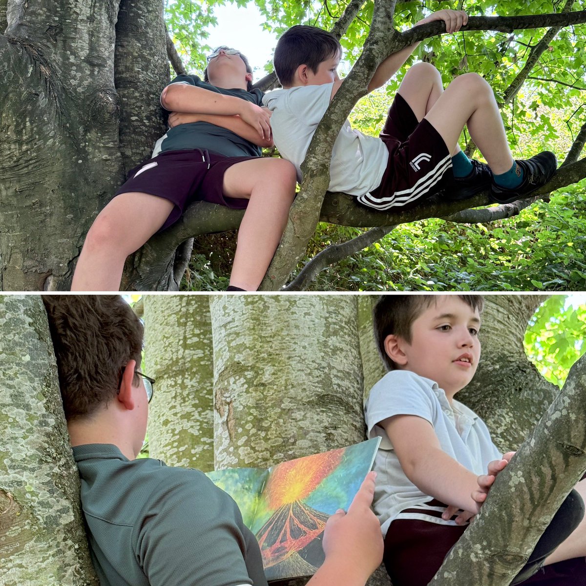 Irthlingborough Forest School tweet media