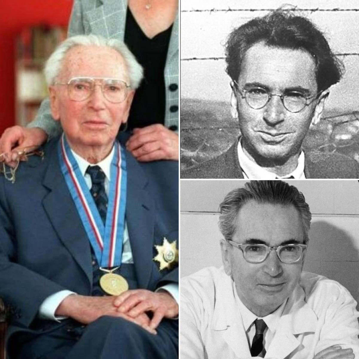 “Me quitaron mi nombre, mi libertad, mi familia… pero jamás lograron quitarme el sentido.” 🕊️💔

Sobreviví a cuatro campos de concentración. Me marcaron con un número y me arrebataron todo: mis libros, mis sueños, incluso a mi esposa embarazada. Todos los días veía morir a