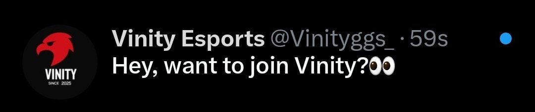 Vinity Esports tweet media