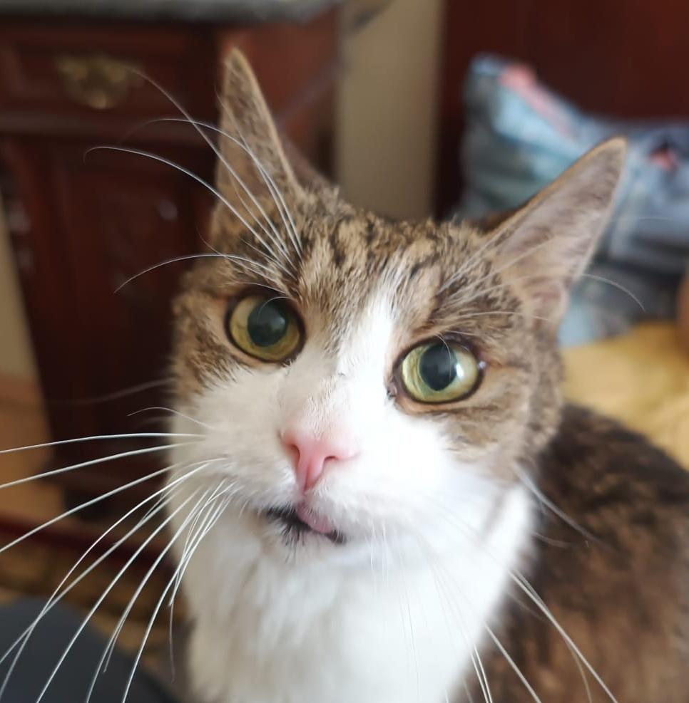 Radek Wrana tweet media