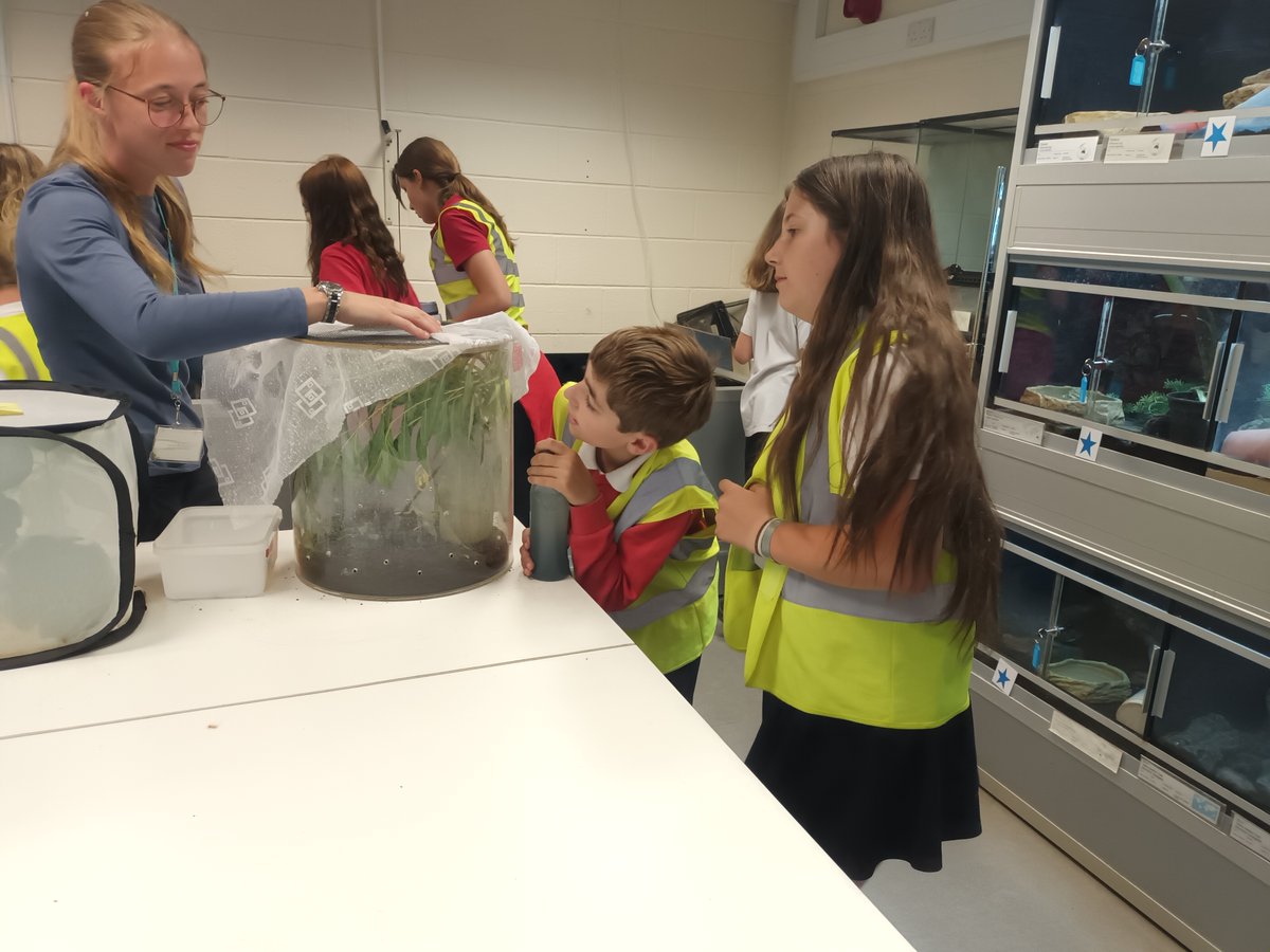 Bath College (@bathcollege) on Twitter photo We had a fantastic time hosting Year 6 children from Westfield Primary School as part of the Fantastic Futures initiative! They absolutely loved exploring our Somer Valley Campus, from getting hands-on in the motor vehicle workshop to meeting animals in our care facilities. We had a fantastic time hosting Year 6 children from Westfield Primary School as part of the Fantastic Futures initiative! They absolutely loved exploring our Somer Valley Campus, from getting hands-on in the motor vehicle workshop to meeting animals in our care facilities.