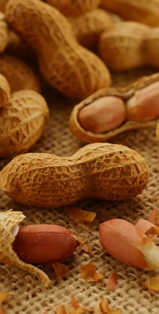 Mubarak Falak (@mubarak_falak) on Twitter photo 