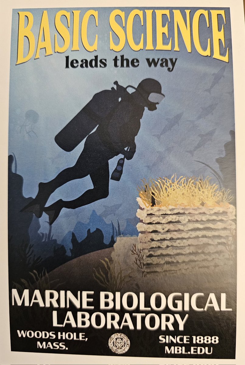 ppa007hot's tweet image. A postcard from MBL shop that accidentally features a Golgi stack 😁