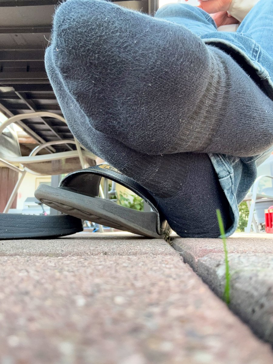 sockmastr's tweet photo. Friday any sub available? ;) https://t.co/NDKwuLFjDT