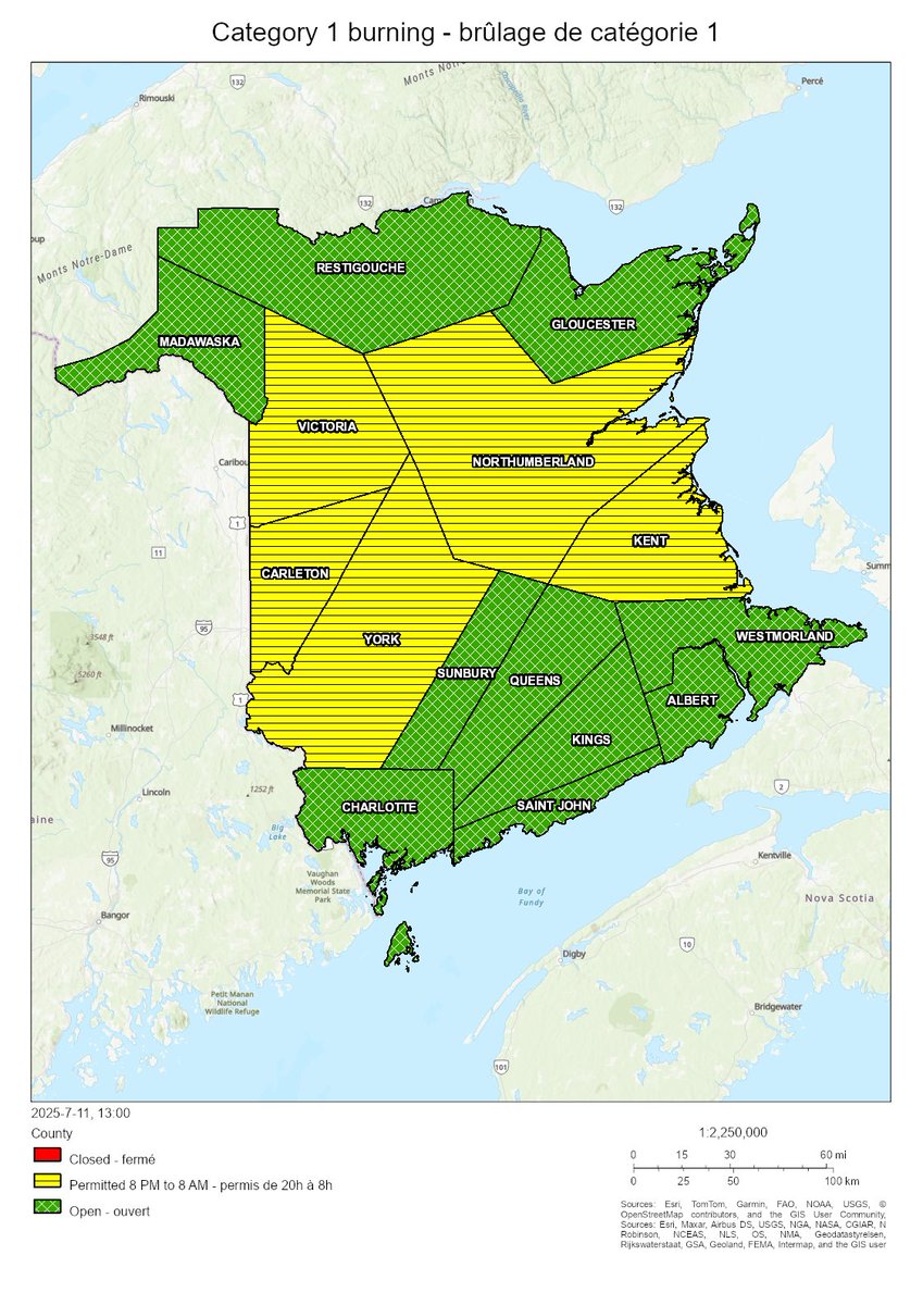 NBForestFires's tweet image. Burning conditions are valid from 2 PM July 11 to 2 PM July 12. Between 8 PM and 8 AM burning is permitted in the following counties: Carleton, Kent, Northumberland, Victoria, York. All other counties are open for burning.