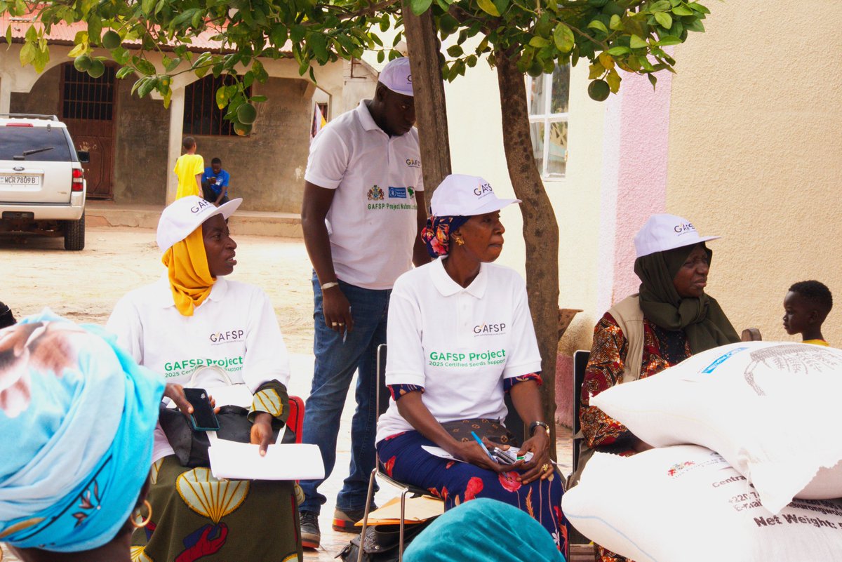 gafspcpcu's tweet photo. In Darsilami, 30 farmers received certified, pest-resistant rice seeds from GAFSp, boosting harvests, fighting pests, and building resilience. Connecting the dots between climate, gender and nutrition. @GAFSPfund
@AFDBGroup
@philboahen
@batdes
#GAFSp #FoodSecurity #ClimateSmART https://t.co/2121yownbb