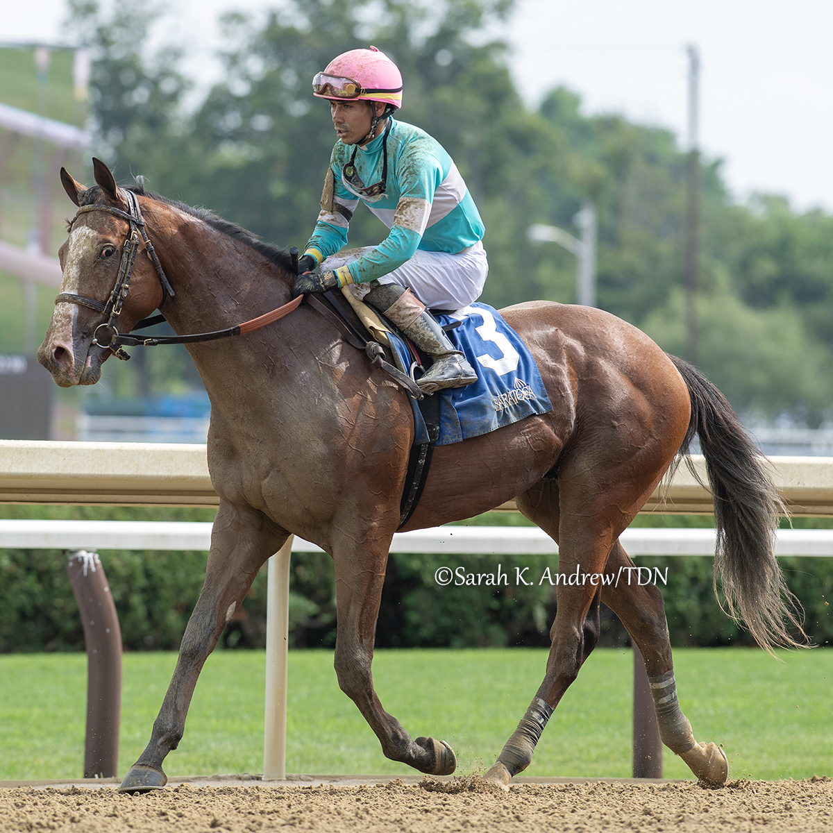 Every win at Saratoga is something to treasure, but it's the stories behind them that make the victory all the more special, as it was today with the impressive debut of DR. AGNE 💝 With all eyes on the Into Mischief colt out of champion turf female Lady Eli, who holds a special