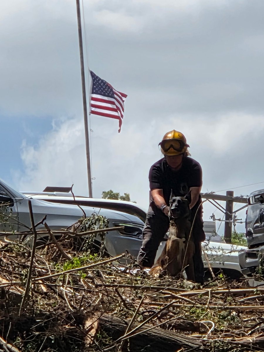 cs_rescue's tweet image. WE NEED ANY AND ALL K9 VOLUNTEERS!
K9s are the limiting factor of search efforts; they can only work so long in the heat and there are only so many trained HRD dogs in the country. Calling all available.
Everybody deserves to come home and be laid to rest.❤️
Link below.