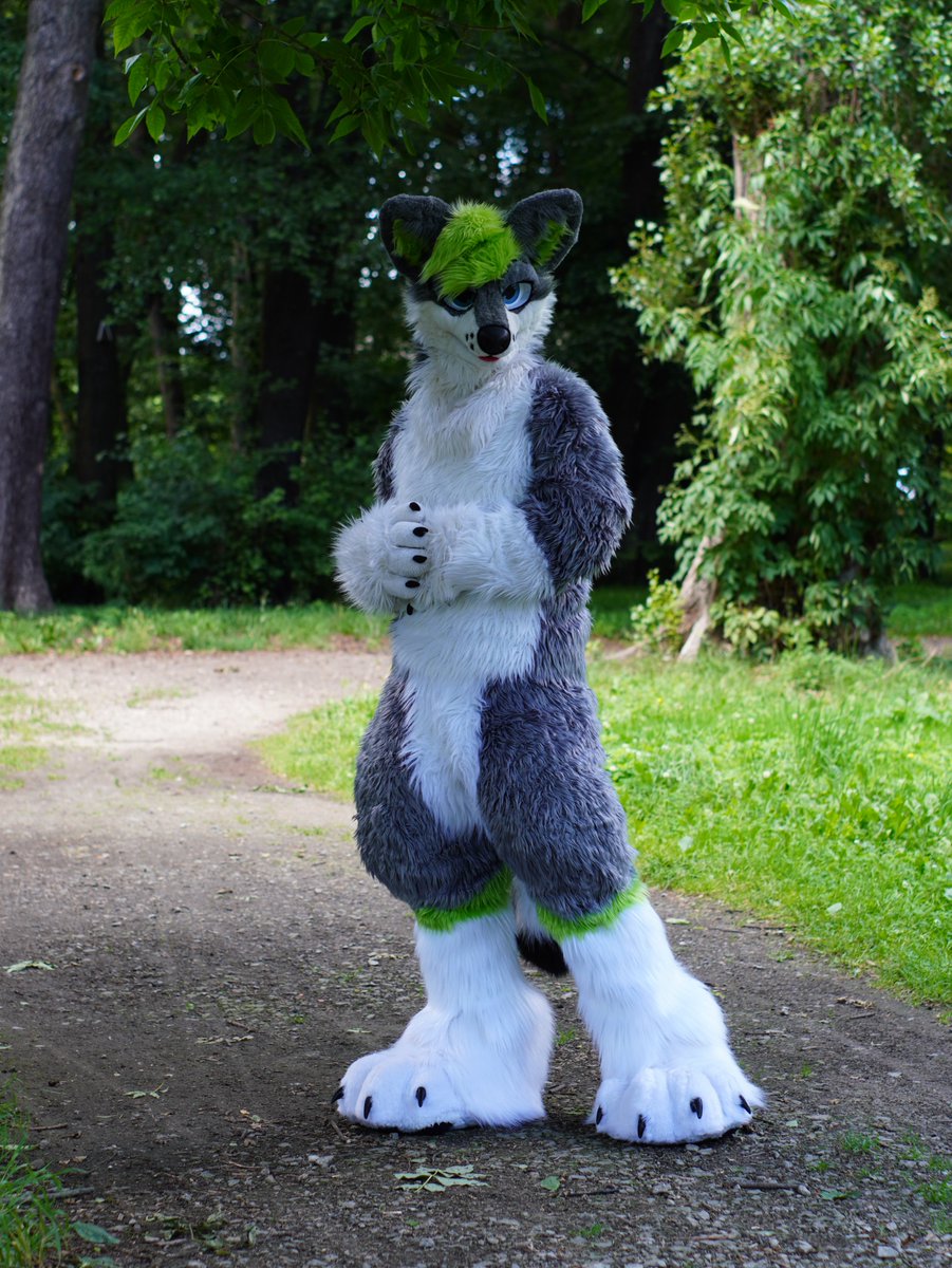 How do I look?
Photo: <a href="/mike_wolf_furry/">mike_furry</a> 
#FursuitFriday