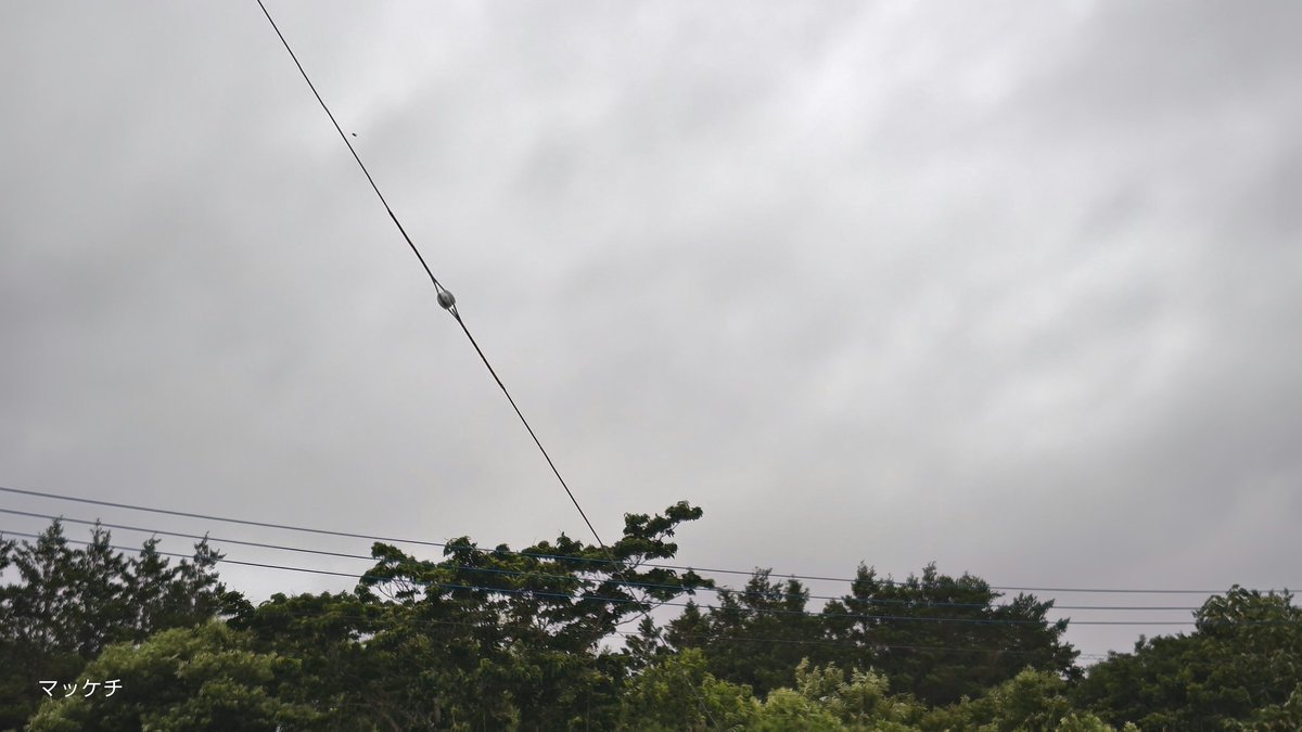 makomofu5170's tweet image. おはようございます
今朝も涼しい曇り空です
この気候で今まで溜まっていた疲れがどっと出て
早寝しても寝足りない状態です
準備出来たら半日仕事行ってきます
今日も宜しくお願い致します
良い一日をお過ごし下さい🎵