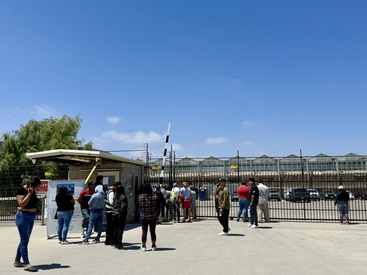 NancyLoo's tweet image. Relatives of workers at the CA cannabis farm targeted in massive immigration raid seeking answers. Many say they cannot find their loved ones in the federal detention system and hope people are still hiding inside. CBP detained 300+. No sign of federal officers today. @newsnation