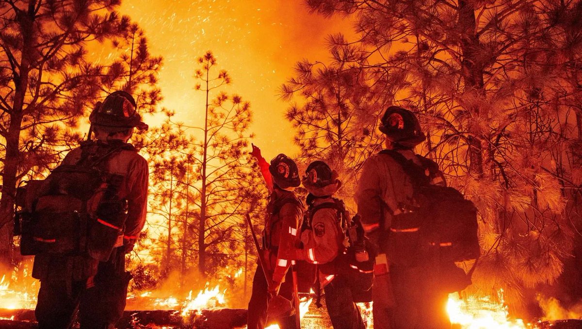ilike_mike's tweet image. We’re moving forward with a historic investment in wildfire safety – boosting CAL FIRE with more firefighters, enhanced vegetation management, and speeding up critical fire mitigation projects.
We are committed to protecting communities from devastating wildfires year-round.