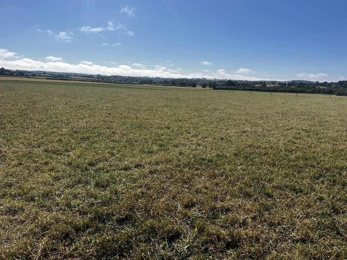 It’s starting to resemble 2018 here on the savannah of mid Kilkenny