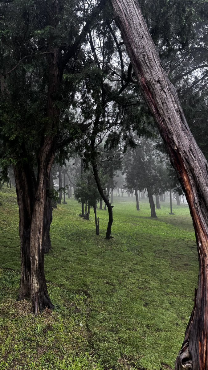 الباحة منطقة مظلومة إعلامياً