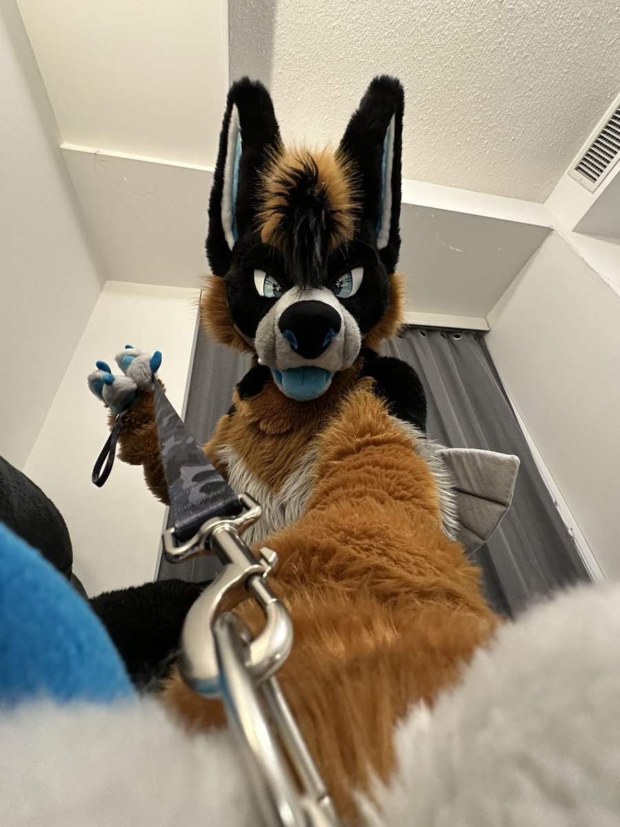 POV: you’re the little guy instead 😈

📸: <a href="/ArcticDalmatian/">I'm a 🐶 🥪 🔜 Camp Feral</a> 

#FursuitFriday