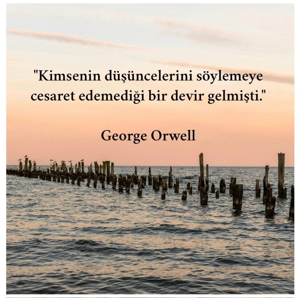 İyi geceler dostlar.