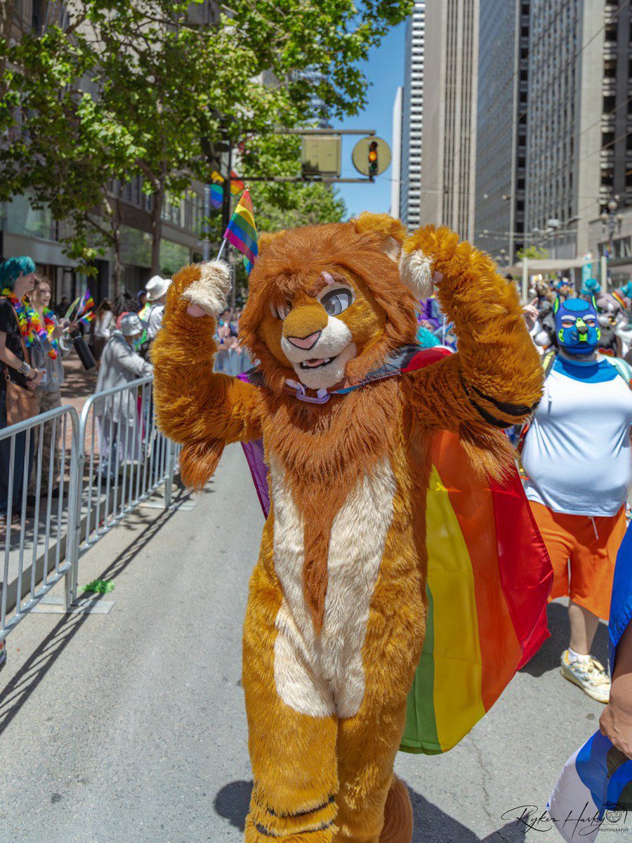 SouKuugo's tweet image. June is gone but Pride never ends!
#FursuitFriday
📸: @RykerHusky