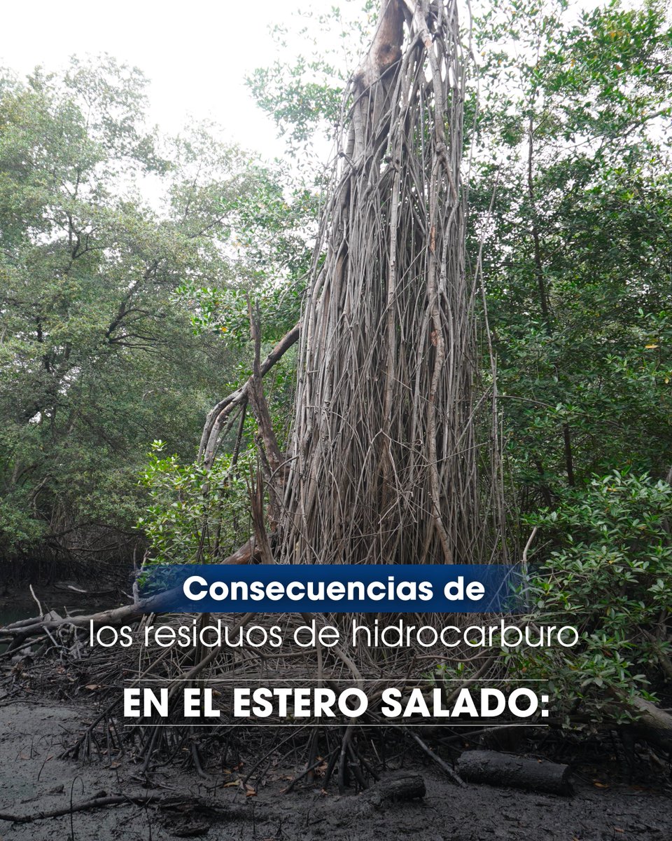 oletnat's tweet photo. La contaminación con residuos de hidrocarburos tiene graves consecuencias en el medio ambiente y salud humana.

En OLETNAT transformamos el impacto ambiental de las aguas residuales industriales, alineado con la normativa vigente en Ecuador. 📞 Contáctanos al 0988287777. https://t.co/M3wlKtpzm6