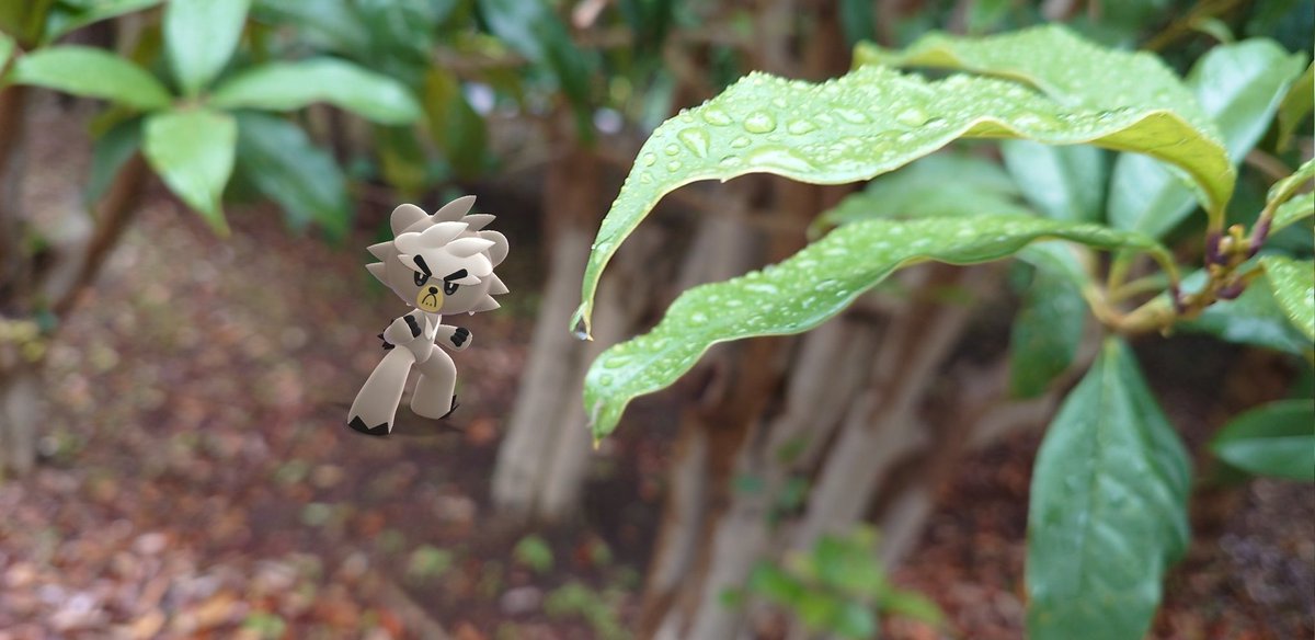 雫落ちる前に
#RainyDayAR
#GOsnapshotCelebration 
#GOsnapshot #NianticAR
#ARofTheDay #PokemonGO 
#おさんぽAR #ダクマ