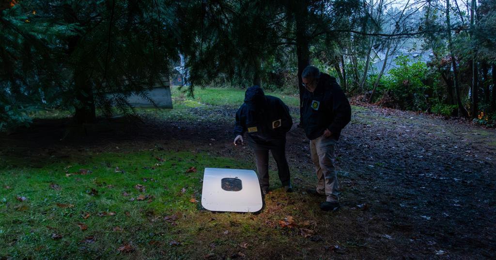 FlightGlobal tweet media