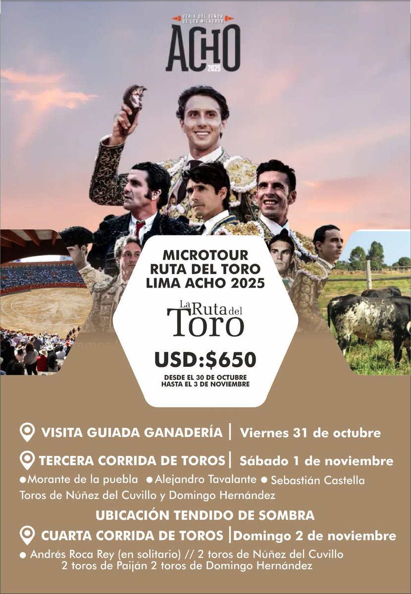 RUTA DEL TORO INTERNACIONAL. (@rutadeltoro_col) on Twitter photo 