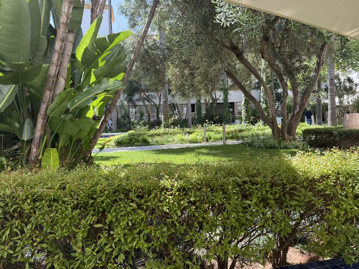 لابد من الإسراع بجمع البذور الحراجية وخاصة للأصول النباتية النادرة باكبر كمية وحفظها بطريقة آمنة ، ولا بد من اعادة تفعيل عملية الاستمطار.
تفعيل المشاتل الحراجية باقصى طاقتها لتعويض الفاقد بالحرائق.
يجب الحفاظ على الأصول البرية للنباتات في سوريا وحفظها وإكثارها لا يقل أهمية عن أي