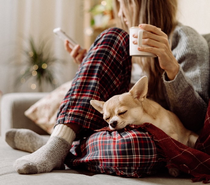 Canceling plans for your dog? Study shows you’re not alone dogsbestlife.com/dog-fun/stay-h…