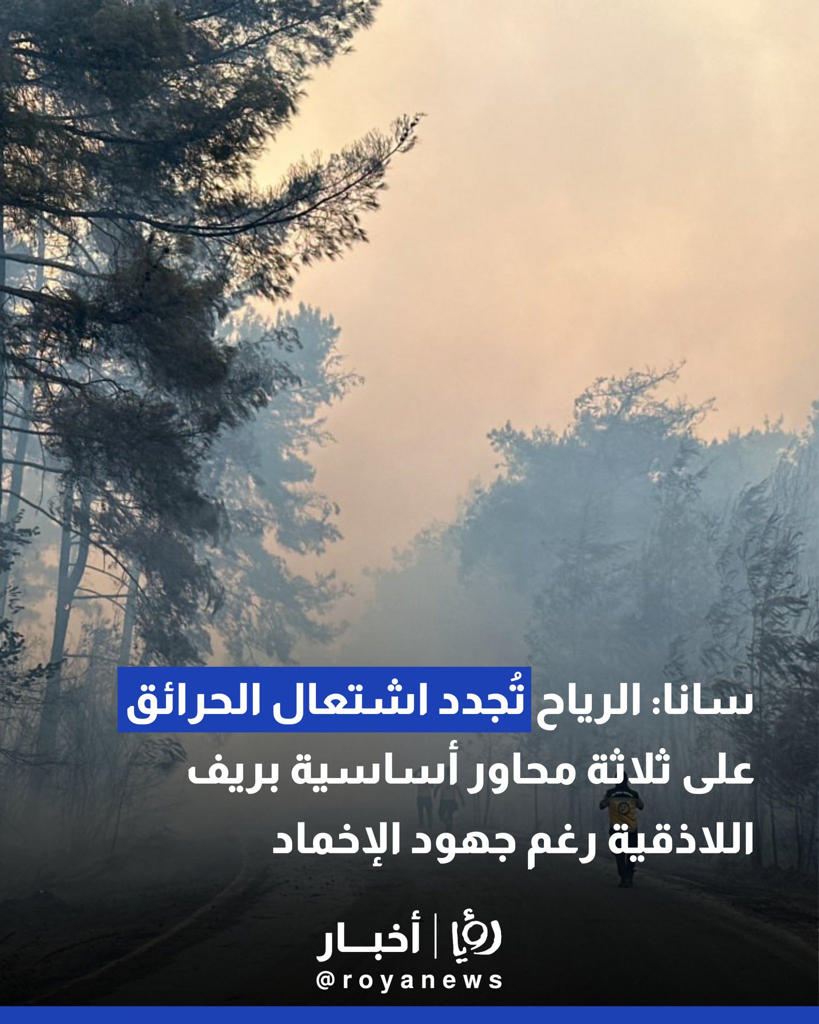 سانا: الرياح تُجدد اشتعال الحرائق على ثلاثة محاور أساسية بريف اللاذقية رغم جهود الإخماد #عاجل 