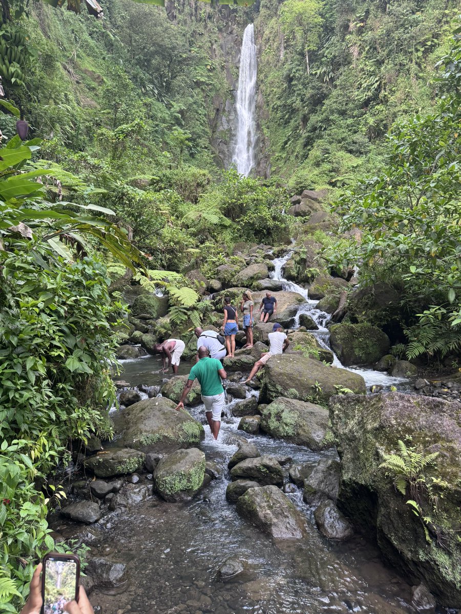 Morris Scantlebury, M.D. tweet media