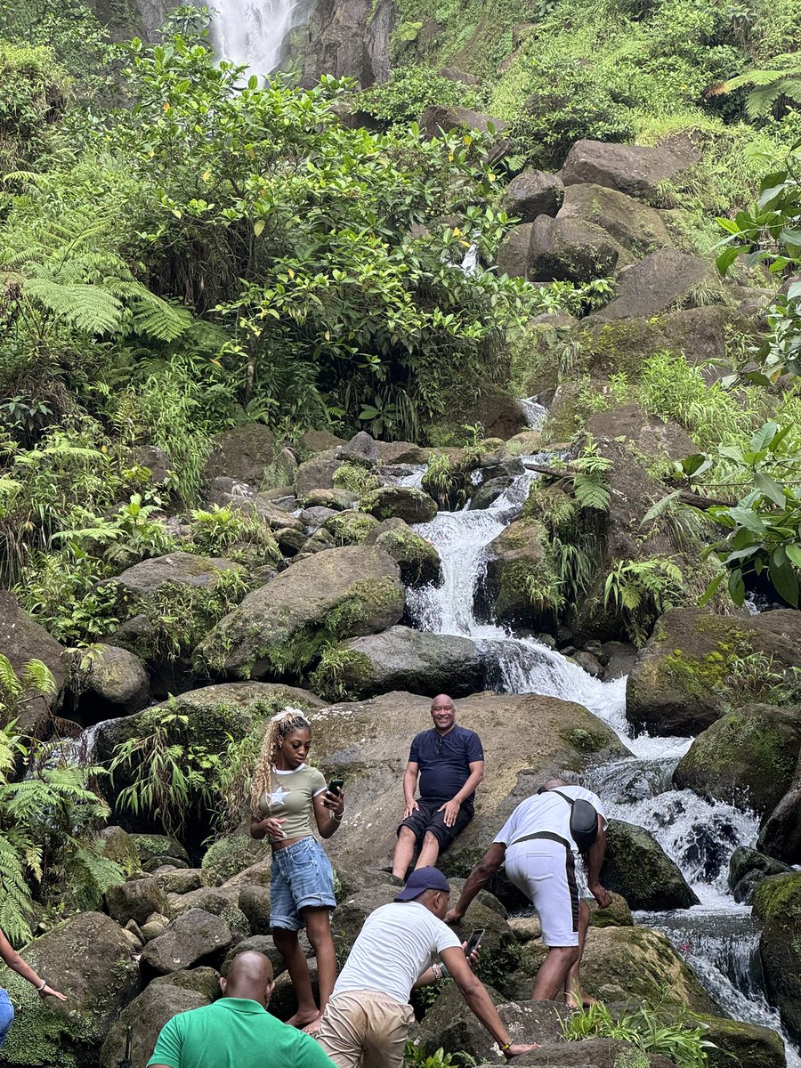 Morris Scantlebury, M.D. tweet media