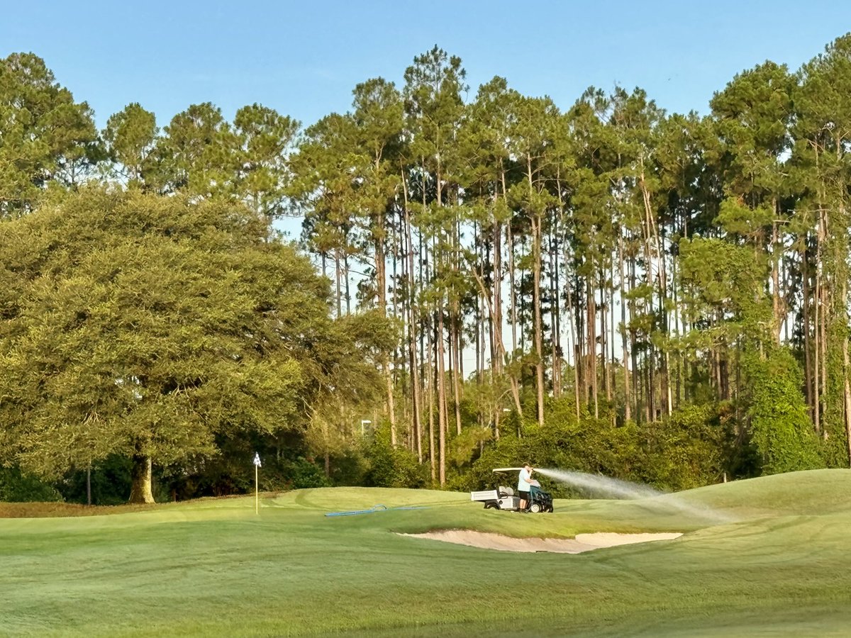 David B Levin tweet media